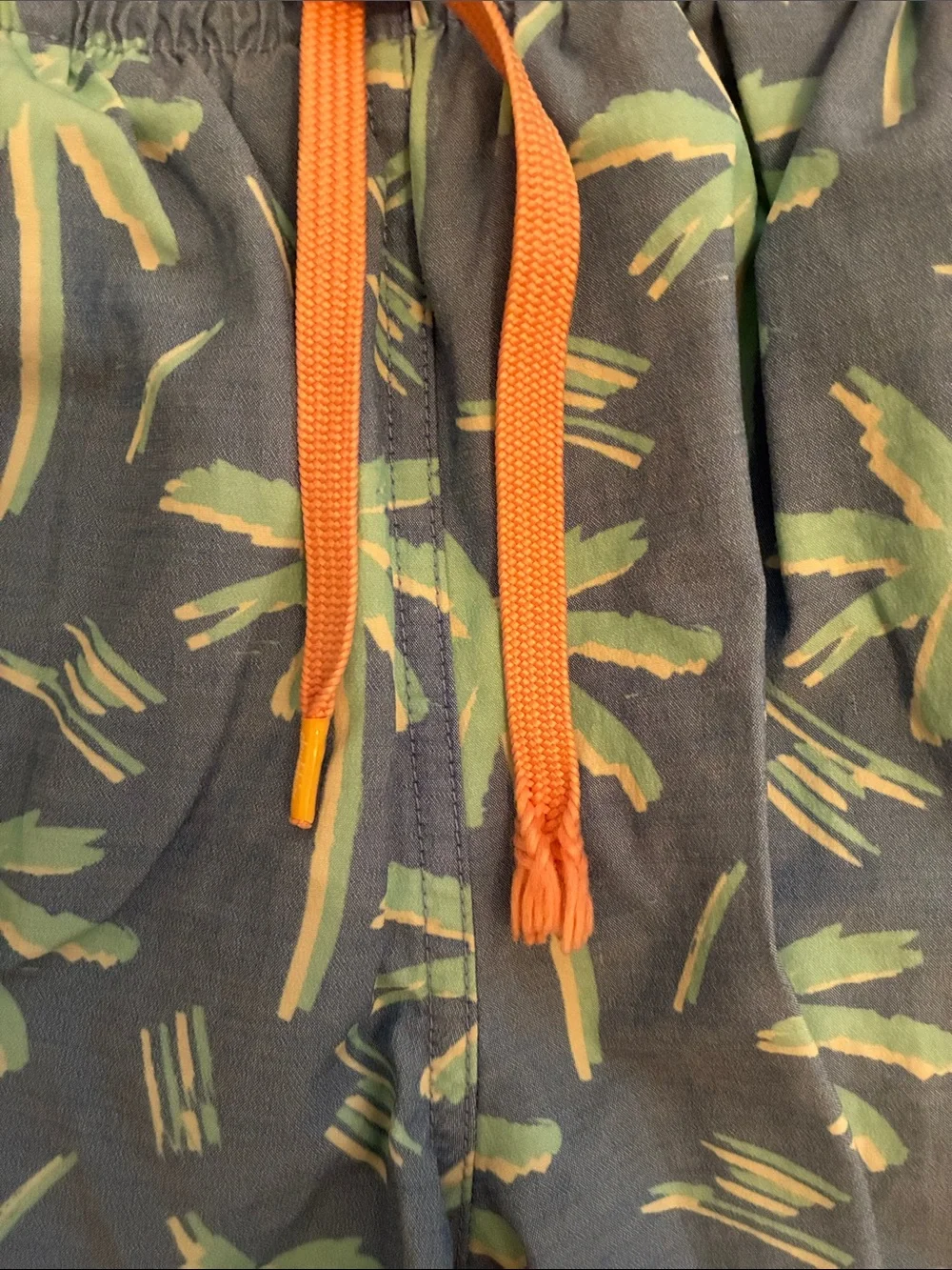 Chubbies Palm Tree Swim Trunks (Light Blue & Mint Green)
